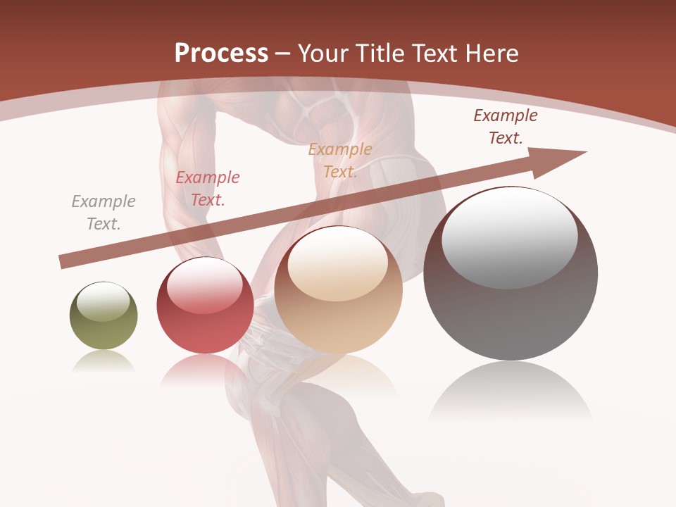 Back Anatomically Health PowerPoint Template