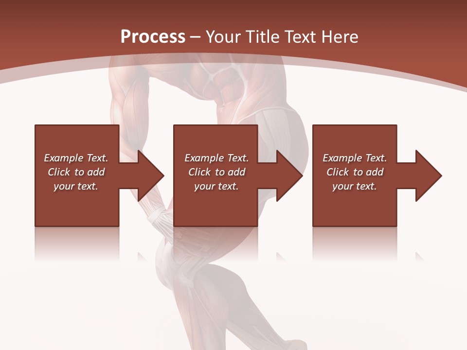 Back Anatomically Health PowerPoint Template