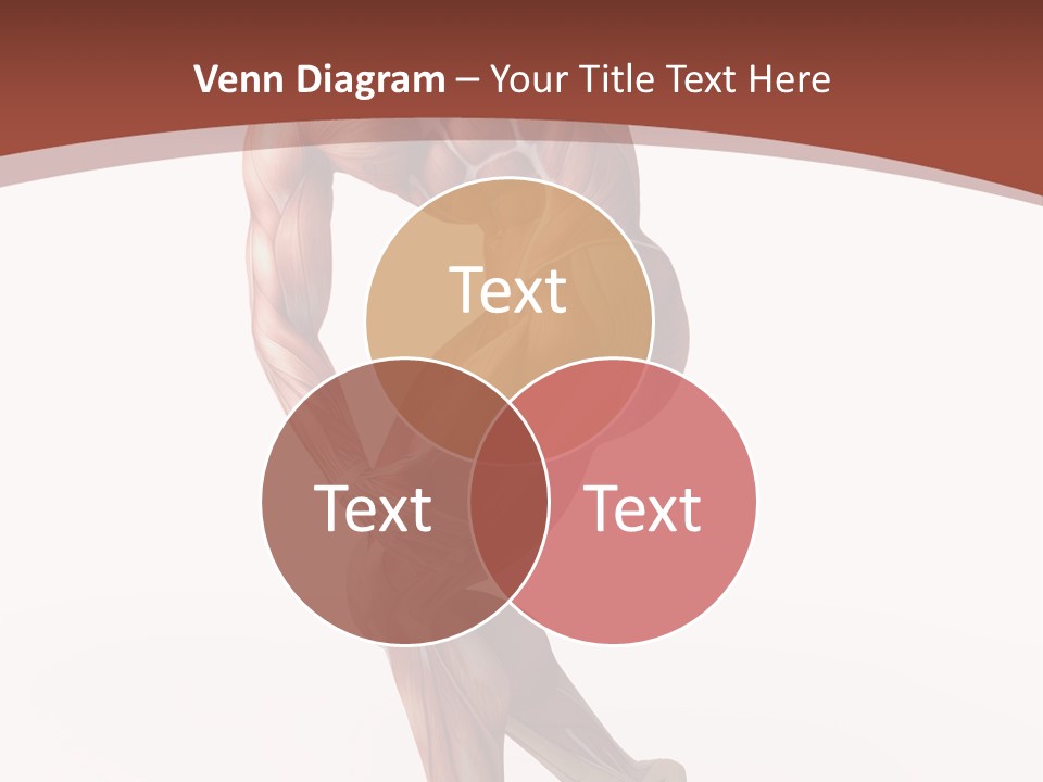 Back Anatomically Health PowerPoint Template