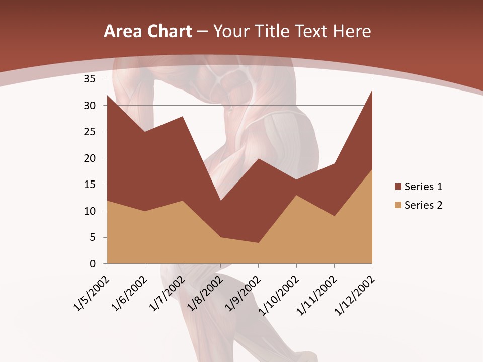 Back Anatomically Health PowerPoint Template