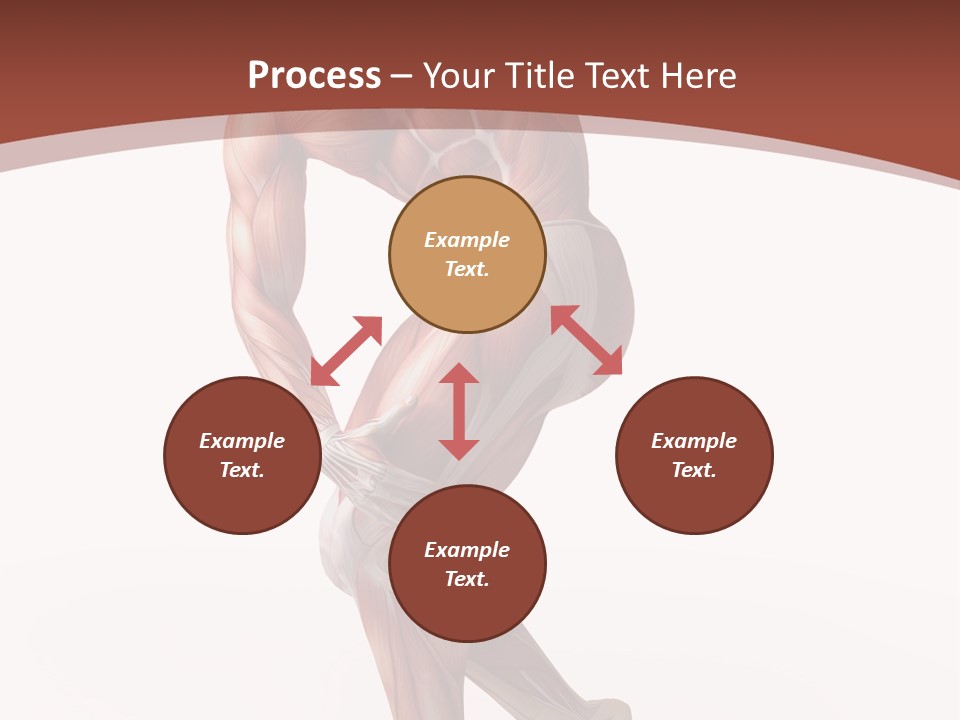 Back Anatomically Health PowerPoint Template