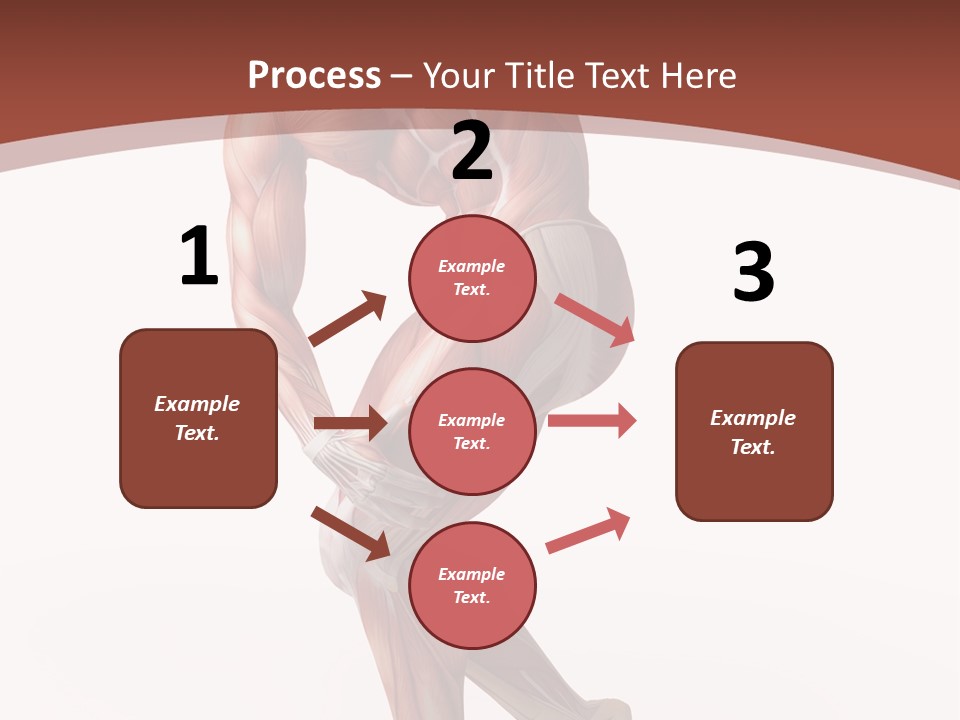 Back Anatomically Health PowerPoint Template