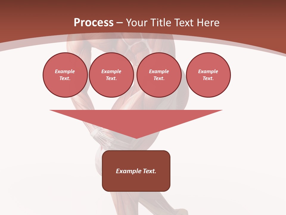 Back Anatomically Health PowerPoint Template