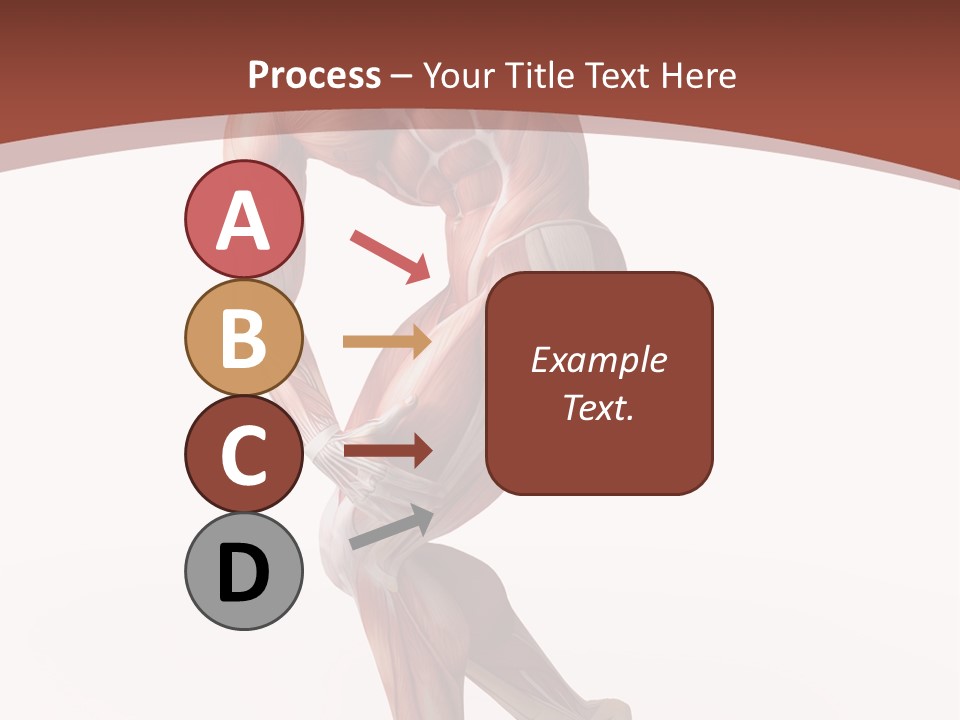 Back Anatomically Health PowerPoint Template
