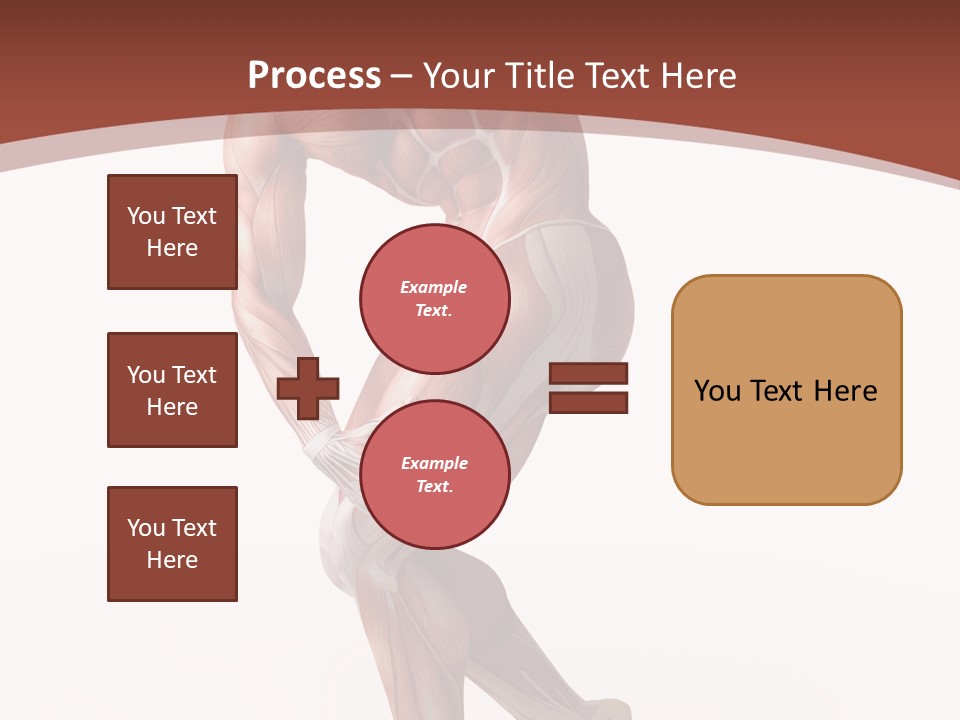Back Anatomically Health PowerPoint Template