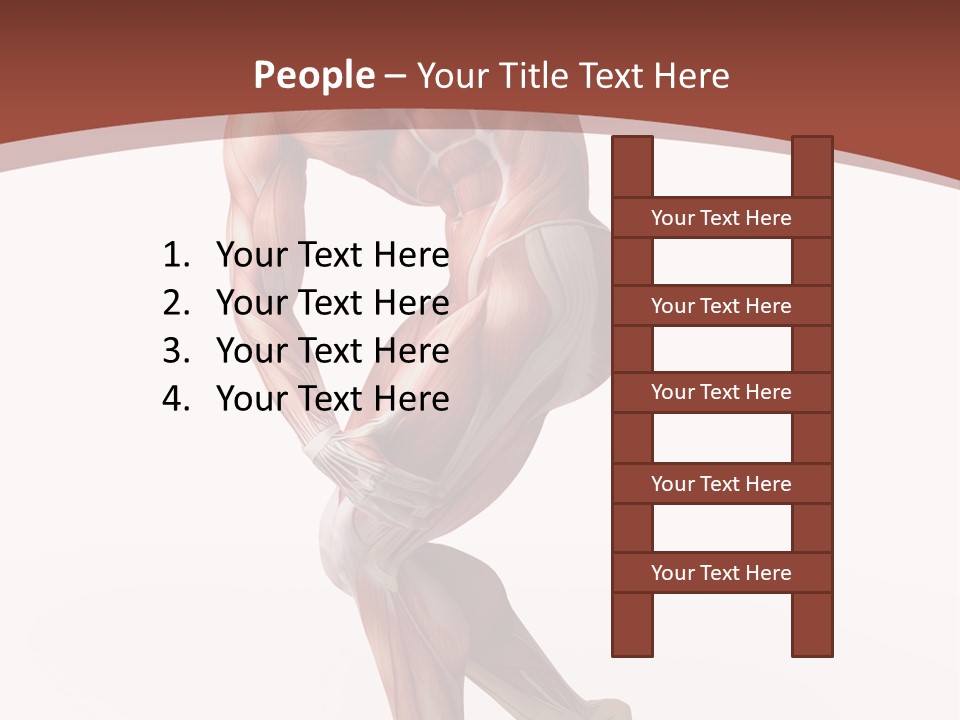 Back Anatomically Health PowerPoint Template