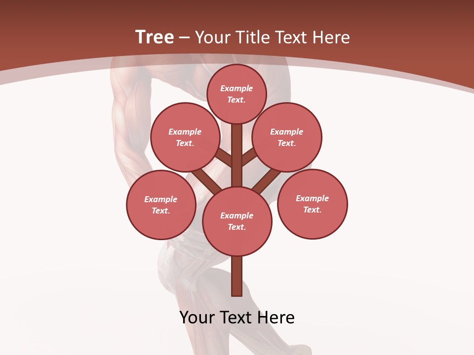 Back Anatomically Health PowerPoint Template