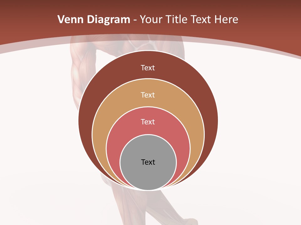 Back Anatomically Health PowerPoint Template