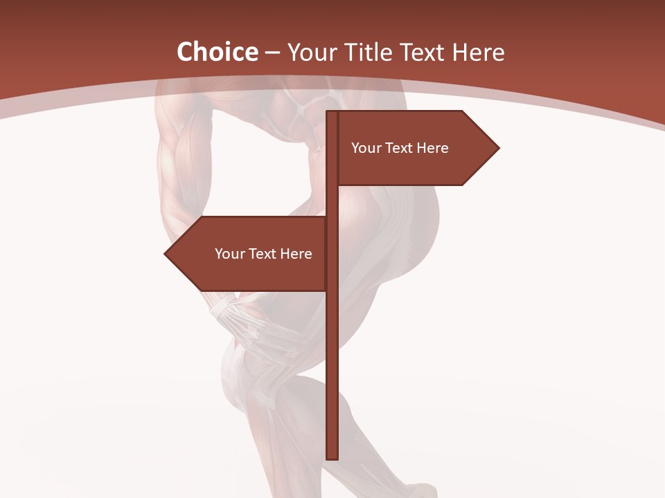 Back Anatomically Health PowerPoint Template