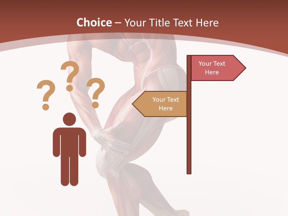 Back Anatomically Health PowerPoint Template