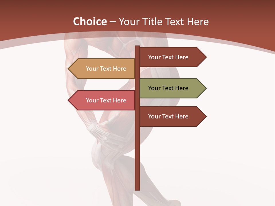 Back Anatomically Health PowerPoint Template