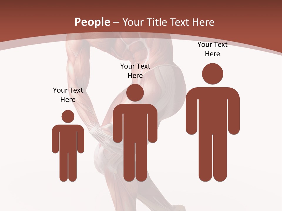 Back Anatomically Health PowerPoint Template