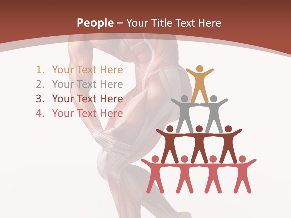 Back Anatomically Health PowerPoint Template