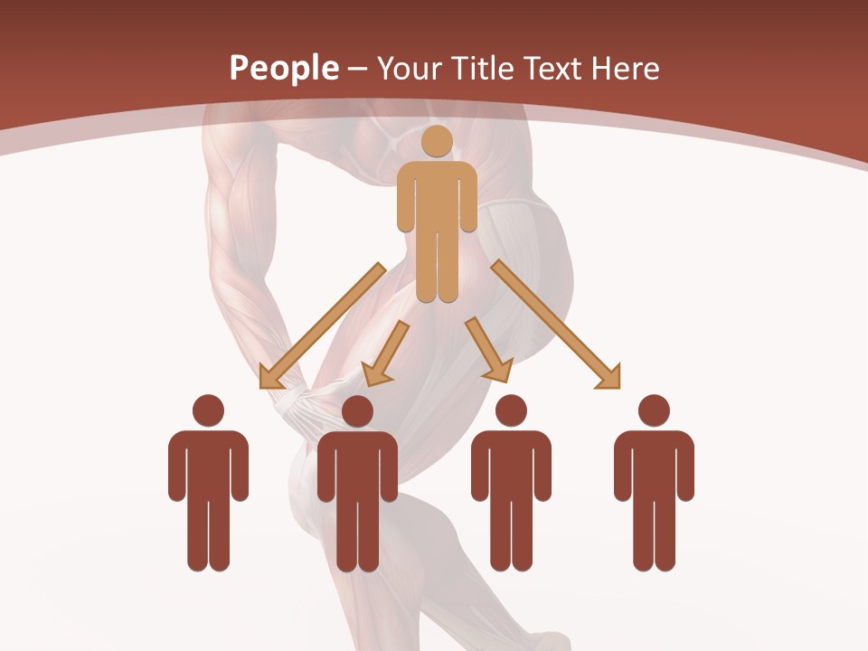 Back Anatomically Health PowerPoint Template