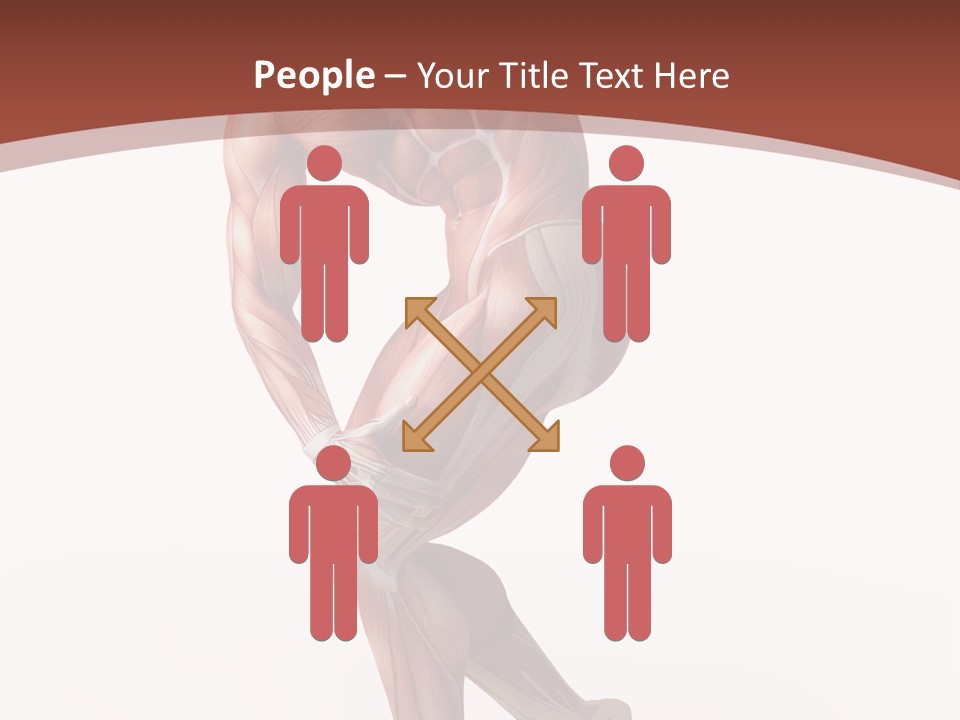 Back Anatomically Health PowerPoint Template