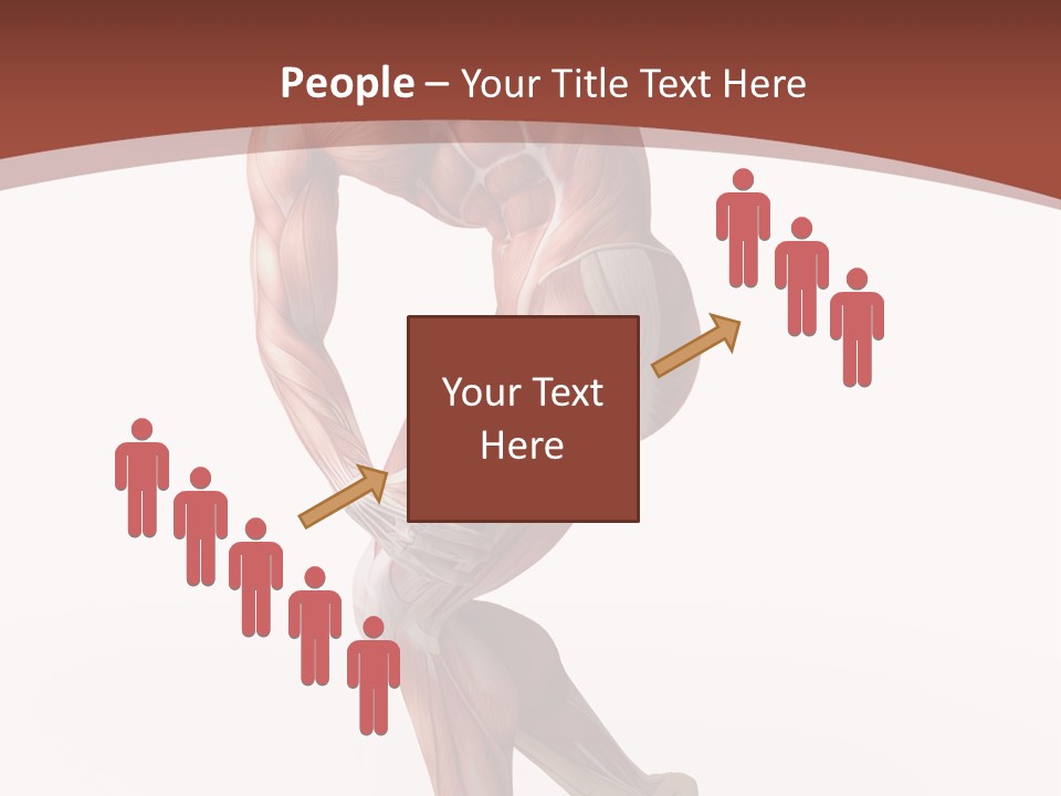 Back Anatomically Health PowerPoint Template