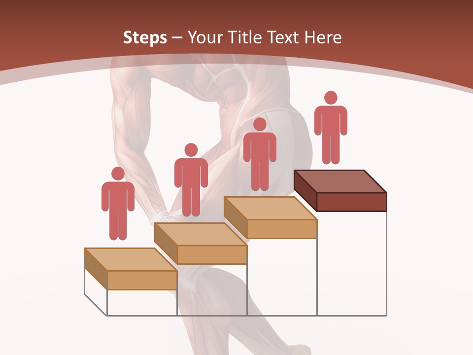 Back Anatomically Health PowerPoint Template