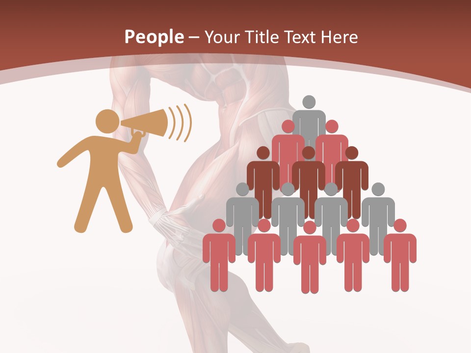 Back Anatomically Health PowerPoint Template