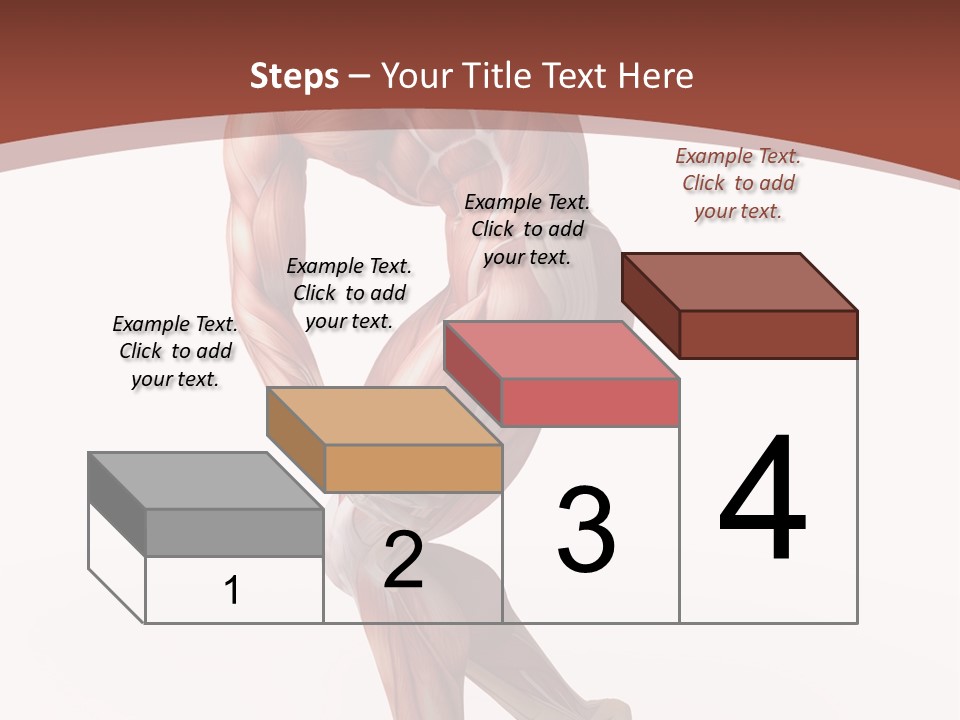 Back Anatomically Health PowerPoint Template