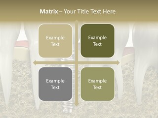 Orthodontist Steel Dentist PowerPoint Template