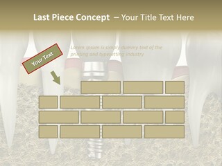 Orthodontist Steel Dentist PowerPoint Template