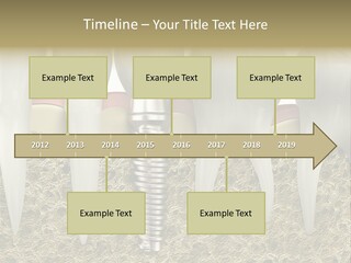 Orthodontist Steel Dentist PowerPoint Template