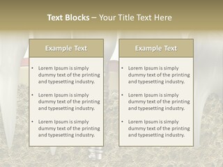 Orthodontist Steel Dentist PowerPoint Template