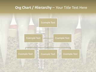 Orthodontist Steel Dentist PowerPoint Template