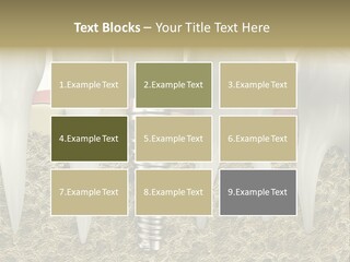 Orthodontist Steel Dentist PowerPoint Template