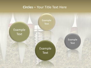 Orthodontist Steel Dentist PowerPoint Template