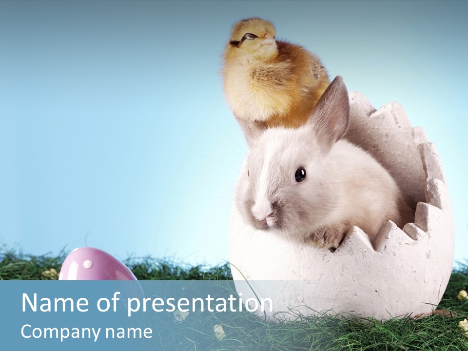 Easter Rabbit Sweet Chick PowerPoint Template