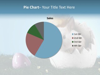 Easter Rabbit Sweet Chick PowerPoint Template