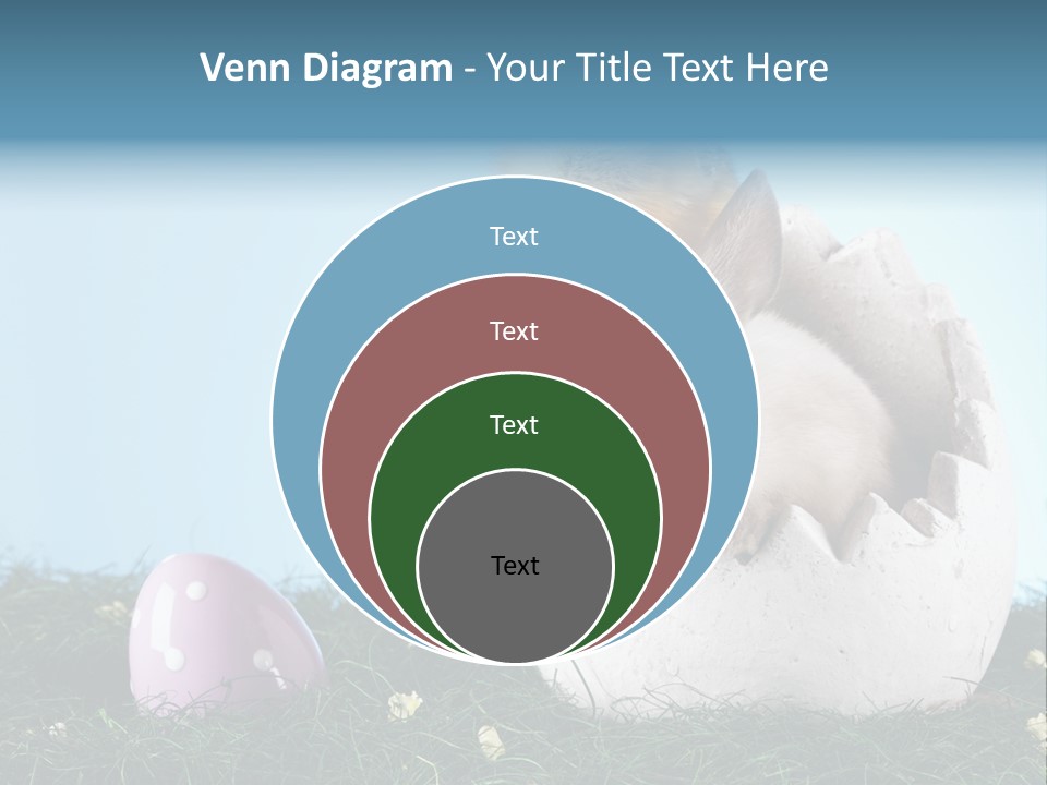 Easter Rabbit Sweet Chick PowerPoint Template