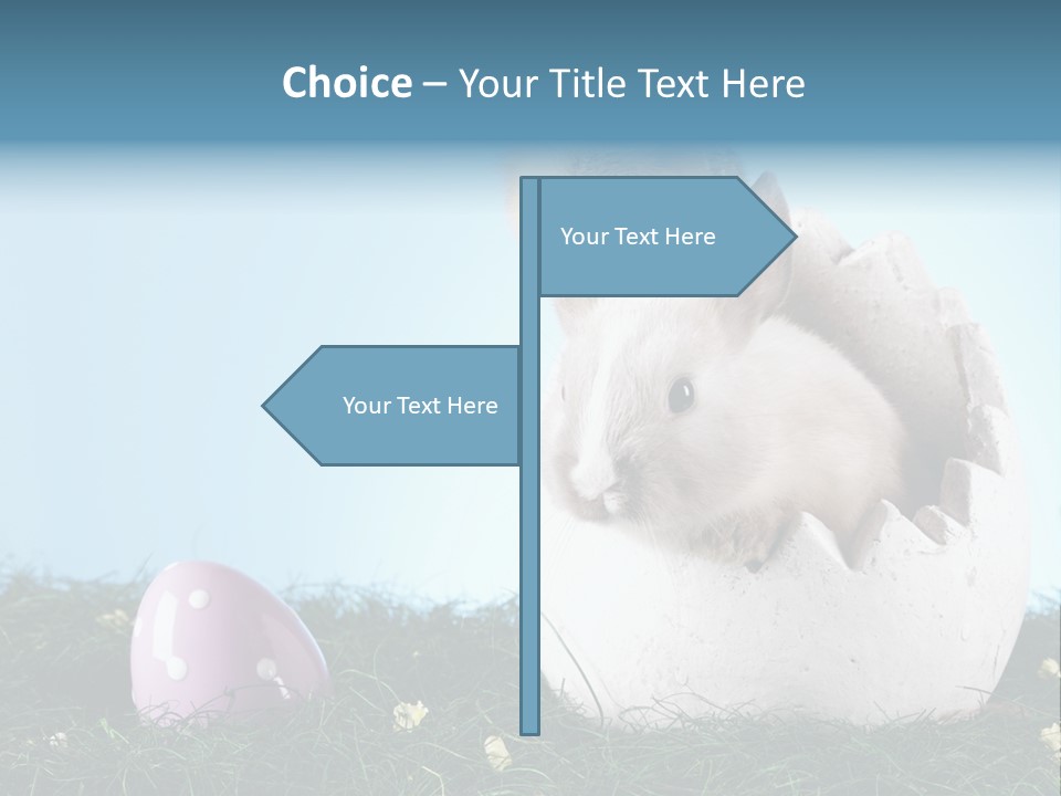 Easter Rabbit Sweet Chick PowerPoint Template