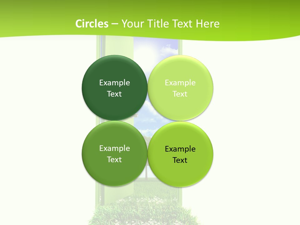 Usa Contrasts Snow PowerPoint Template