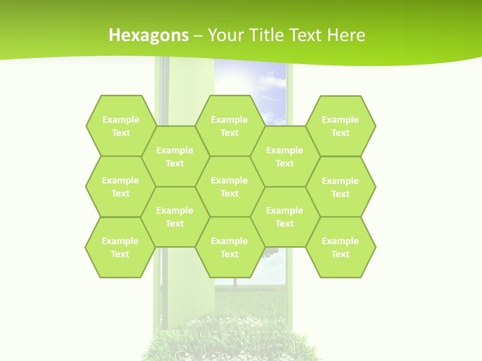 Usa Contrasts Snow PowerPoint Template