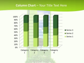 Usa Contrasts Snow PowerPoint Template