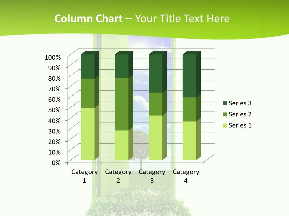 Usa Contrasts Snow PowerPoint Template