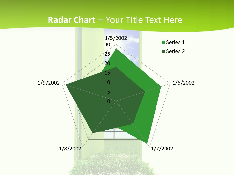Usa Contrasts Snow PowerPoint Template