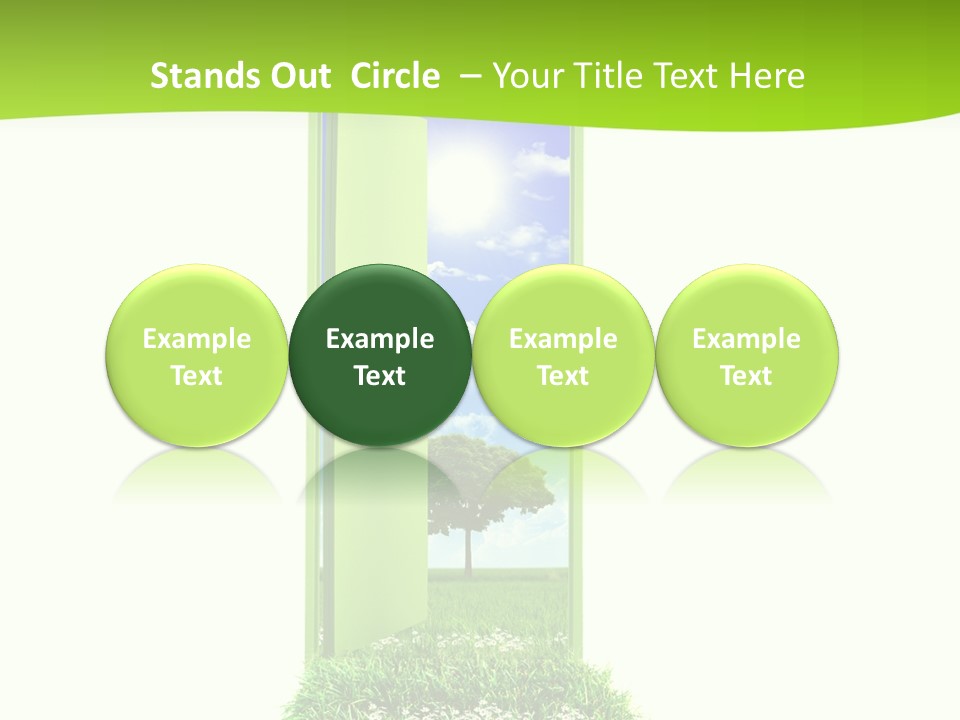 Usa Contrasts Snow PowerPoint Template