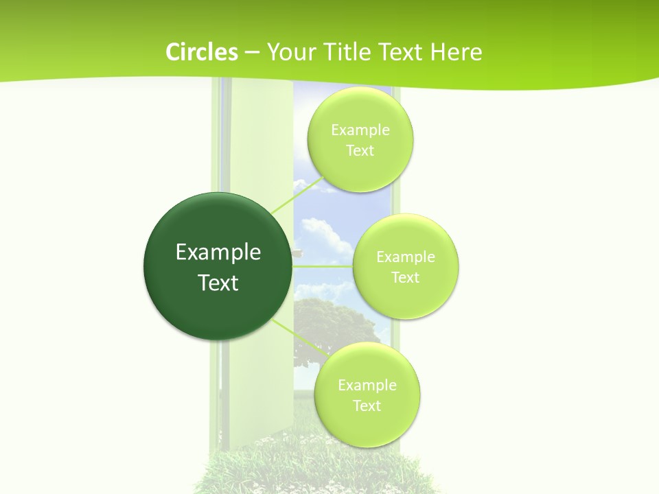 Usa Contrasts Snow PowerPoint Template