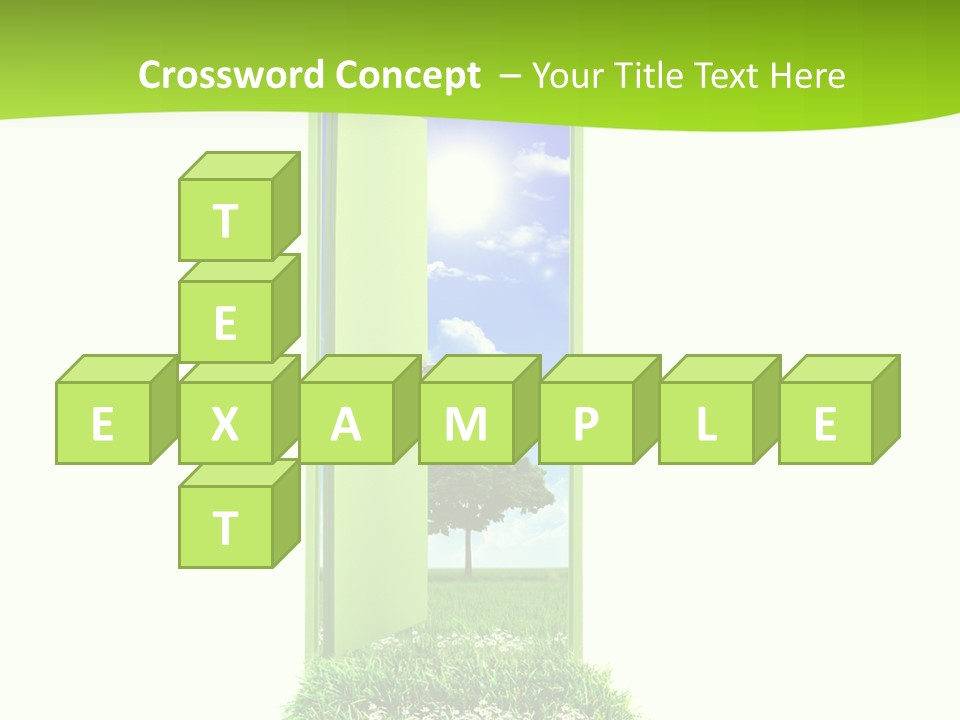 Usa Contrasts Snow PowerPoint Template