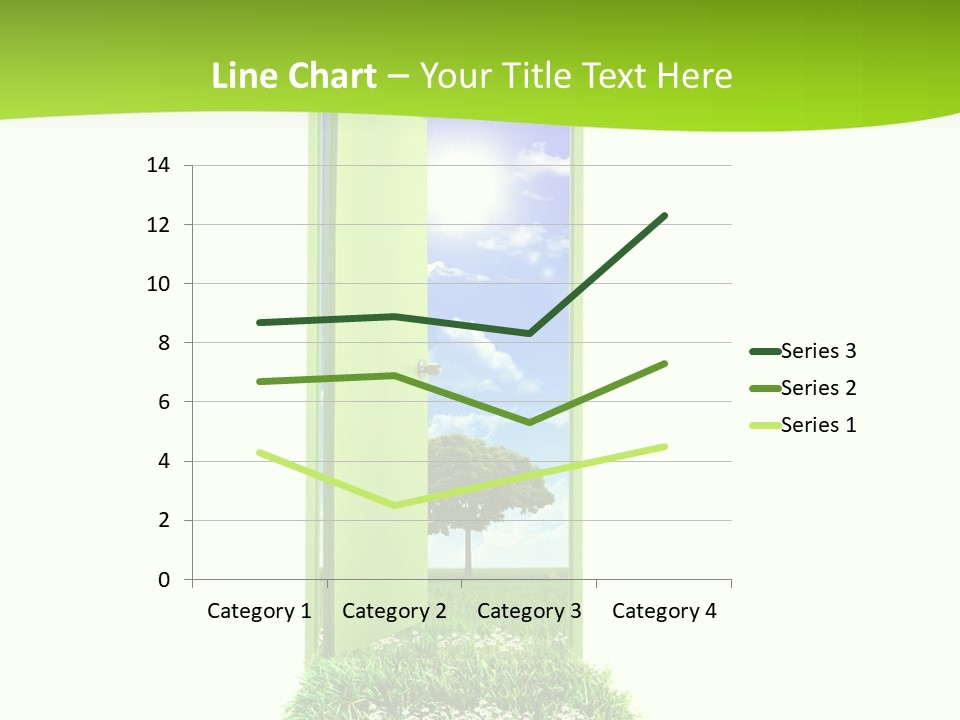 Usa Contrasts Snow PowerPoint Template