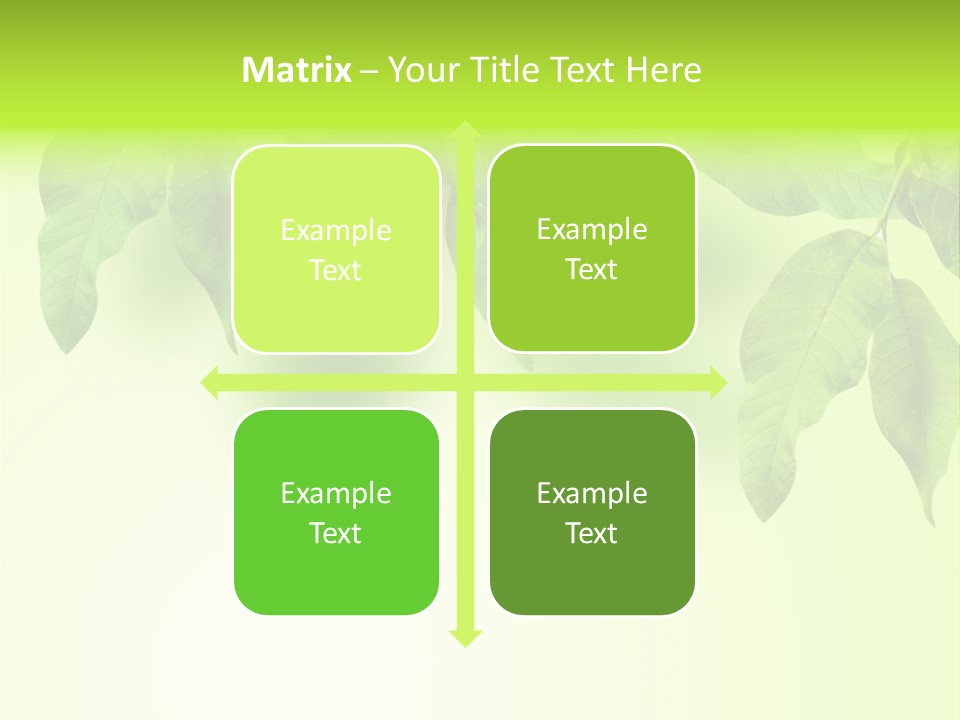 Design White Beauty PowerPoint Template