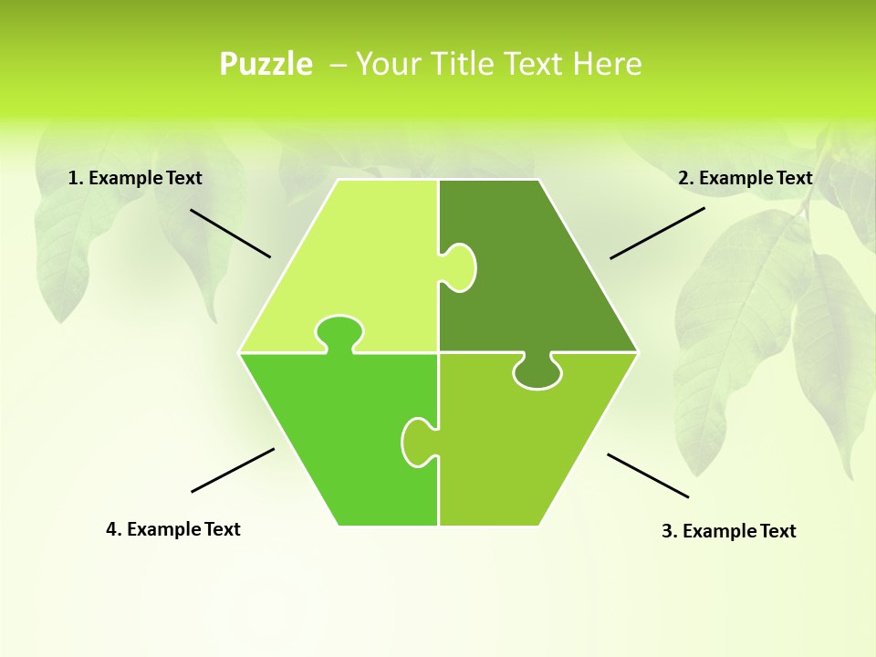 Design White Beauty PowerPoint Template