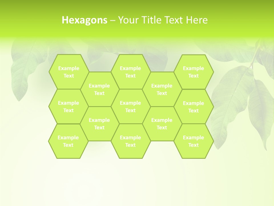 Design White Beauty PowerPoint Template