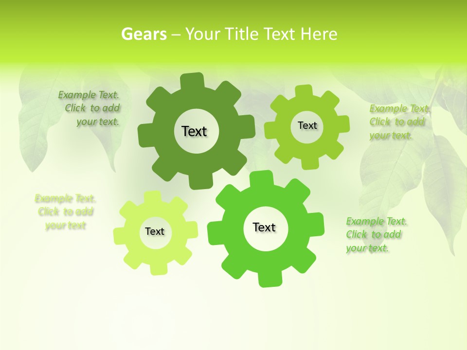 Design White Beauty PowerPoint Template