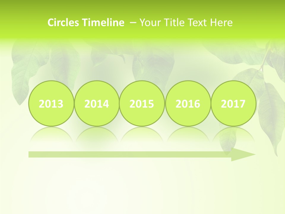 Design White Beauty PowerPoint Template