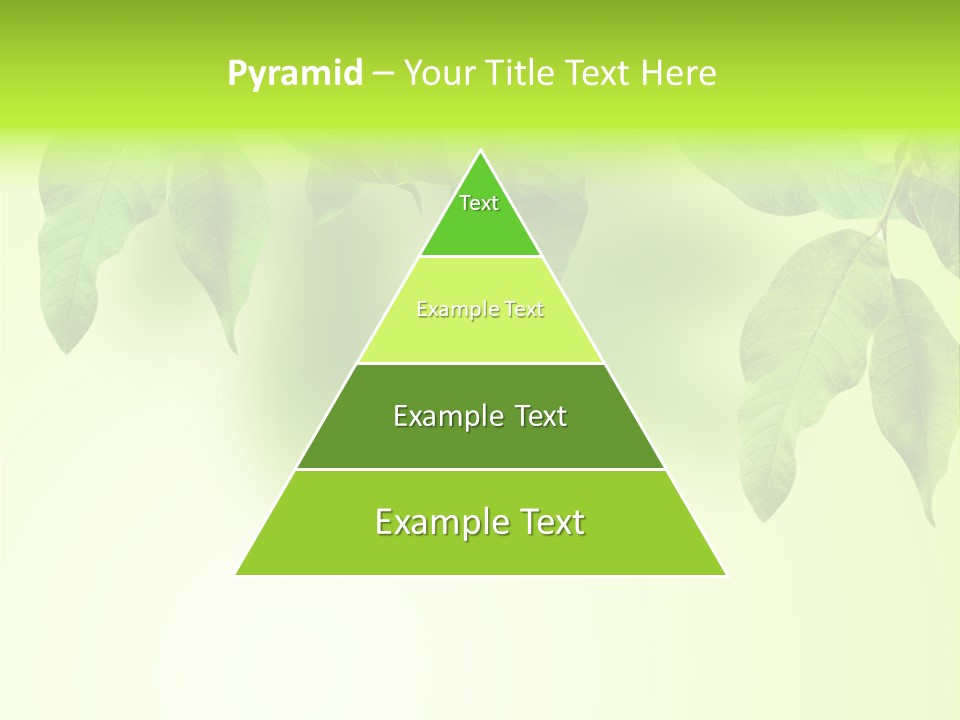 Design White Beauty PowerPoint Template