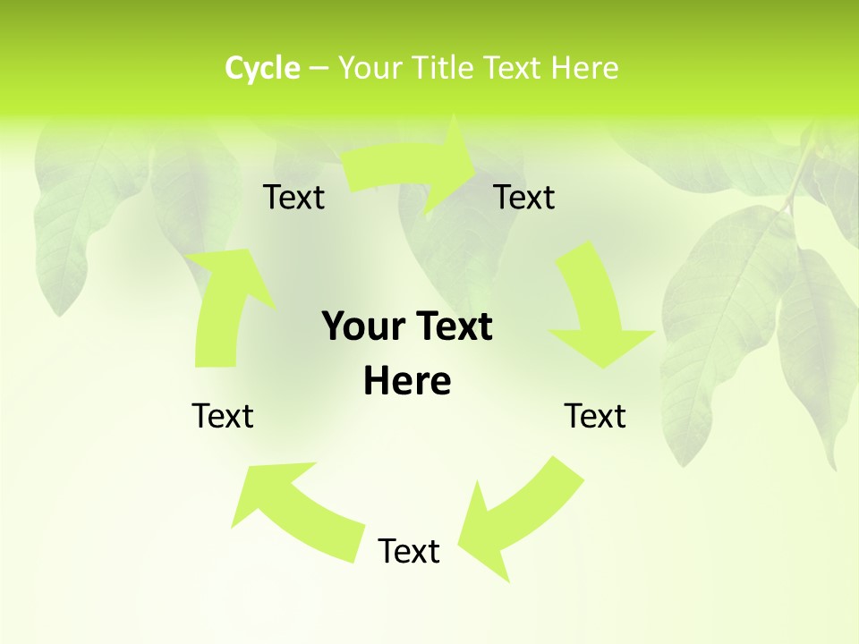 Design White Beauty PowerPoint Template